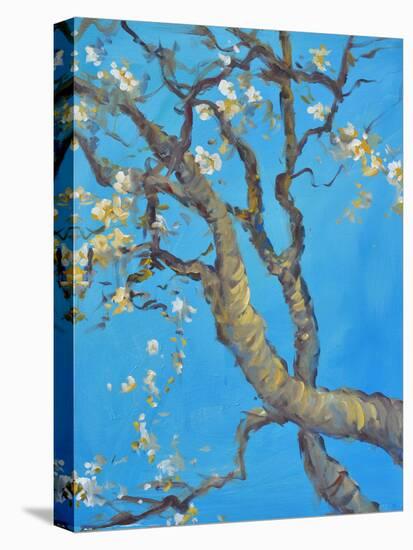 CHERRY BLOSSOM #1-ALLAYN STEVENS-Stretched Canvas