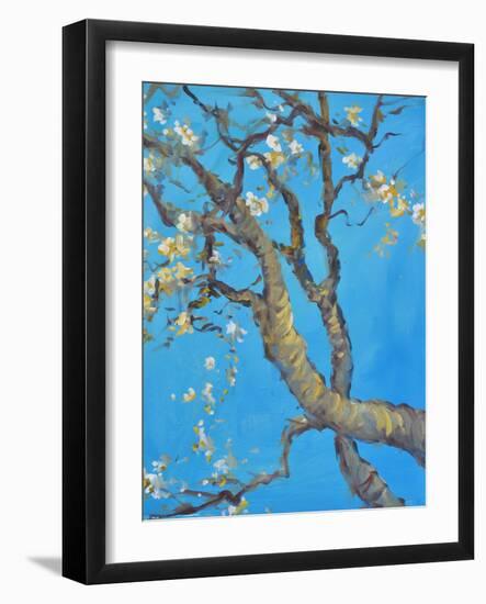 CHERRY BLOSSOM #1-ALLAYN STEVENS-Framed Art Print