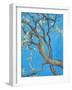 CHERRY BLOSSOM #1-ALLAYN STEVENS-Framed Art Print