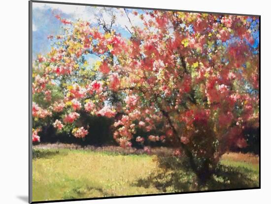 Cherry Blossom, 2018-Helen White-Mounted Giclee Print