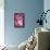 Cherry Blossom 2-Philippe Sainte-Laudy-Framed Stretched Canvas displayed on a wall