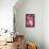 Cherry Blossom 2-Philippe Sainte-Laudy-Framed Stretched Canvas displayed on a wall