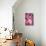 Cherry Blossom 2-Philippe Sainte-Laudy-Photographic Print displayed on a wall