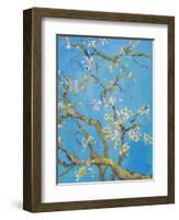 CHERRY BLOSSOM #2-ALLAYN STEVENS-Framed Art Print