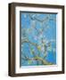 CHERRY BLOSSOM #2-ALLAYN STEVENS-Framed Art Print