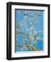 CHERRY BLOSSOM #2-ALLAYN STEVENS-Framed Art Print