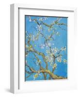 CHERRY BLOSSOM #2-ALLAYN STEVENS-Framed Art Print