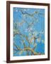 CHERRY BLOSSOM #2-ALLAYN STEVENS-Framed Art Print