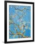 CHERRY BLOSSOM #2-ALLAYN STEVENS-Framed Art Print