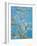 CHERRY BLOSSOM #2-ALLAYN STEVENS-Framed Art Print