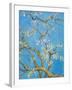 CHERRY BLOSSOM #2-ALLAYN STEVENS-Framed Art Print