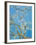 CHERRY BLOSSOM #2-ALLAYN STEVENS-Framed Art Print