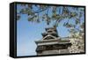 Cherry Blossom and Kumamoto Japanese Castle, Kumamoto, Kyushu, Japan, Asia-Michael Runkel-Framed Stretched Canvas