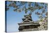 Cherry Blossom and Kumamoto Japanese Castle, Kumamoto, Kyushu, Japan, Asia-Michael Runkel-Stretched Canvas