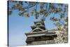 Cherry Blossom and Kumamoto Japanese Castle, Kumamoto, Kyushu, Japan, Asia-Michael Runkel-Stretched Canvas