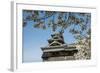 Cherry Blossom and Kumamoto Japanese Castle, Kumamoto, Kyushu, Japan, Asia-Michael Runkel-Framed Photographic Print