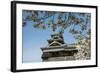 Cherry Blossom and Kumamoto Japanese Castle, Kumamoto, Kyushu, Japan, Asia-Michael Runkel-Framed Photographic Print