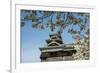 Cherry Blossom and Kumamoto Japanese Castle, Kumamoto, Kyushu, Japan, Asia-Michael Runkel-Framed Photographic Print