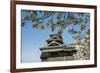 Cherry Blossom and Kumamoto Japanese Castle, Kumamoto, Kyushu, Japan, Asia-Michael Runkel-Framed Photographic Print