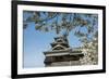 Cherry Blossom and Kumamoto Japanese Castle, Kumamoto, Kyushu, Japan, Asia-Michael Runkel-Framed Photographic Print