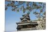 Cherry Blossom and Kumamoto Japanese Castle, Kumamoto, Kyushu, Japan, Asia-Michael Runkel-Mounted Photographic Print