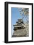 Cherry Blossom and Kumamoto Japanese Castle, Kumamoto, Kyushu, Japan, Asia-Michael Runkel-Framed Photographic Print