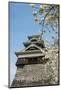 Cherry Blossom and Kumamoto Japanese Castle, Kumamoto, Kyushu, Japan, Asia-Michael Runkel-Mounted Photographic Print