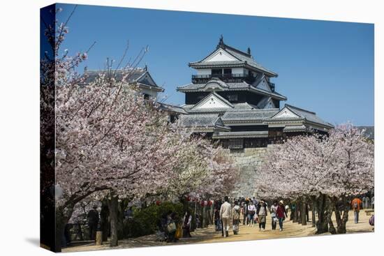 Cherry Blossom and the Matsuyama Castle, Shikoku, Japan, Asia-Michael Runkel-Stretched Canvas