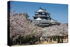 Cherry Blossom and the Matsuyama Castle, Shikoku, Japan, Asia-Michael Runkel-Stretched Canvas