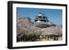 Cherry Blossom and the Matsuyama Castle, Shikoku, Japan, Asia-Michael Runkel-Framed Photographic Print