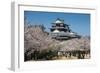 Cherry Blossom and the Matsuyama Castle, Shikoku, Japan, Asia-Michael Runkel-Framed Photographic Print