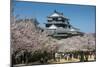 Cherry Blossom and the Matsuyama Castle, Shikoku, Japan, Asia-Michael Runkel-Mounted Photographic Print