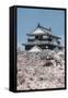 Cherry Blossom and the Matsuyama Castle, Shikoku, Japan, Asia-Michael Runkel-Framed Stretched Canvas