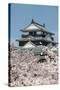 Cherry Blossom and the Matsuyama Castle, Shikoku, Japan, Asia-Michael Runkel-Stretched Canvas