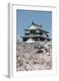Cherry Blossom and the Matsuyama Castle, Shikoku, Japan, Asia-Michael Runkel-Framed Photographic Print