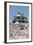 Cherry Blossom and the Matsuyama Castle, Shikoku, Japan, Asia-Michael Runkel-Framed Photographic Print