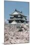 Cherry Blossom and the Matsuyama Castle, Shikoku, Japan, Asia-Michael Runkel-Mounted Photographic Print