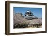 Cherry Blossom and the Matsuyama Castle, Shikoku, Japan, Asia-Michael Runkel-Framed Photographic Print