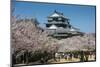 Cherry Blossom and the Matsuyama Castle, Shikoku, Japan, Asia-Michael Runkel-Mounted Photographic Print