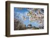 Cherry Blossom and the Matsuyama Castle, Shikoku, Japan, Asia-Michael Runkel-Framed Photographic Print