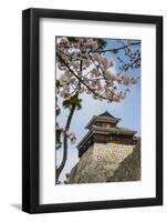 Cherry Blossom and the Matsuyama Castle, Shikoku, Japan, Asia-Michael Runkel-Framed Photographic Print