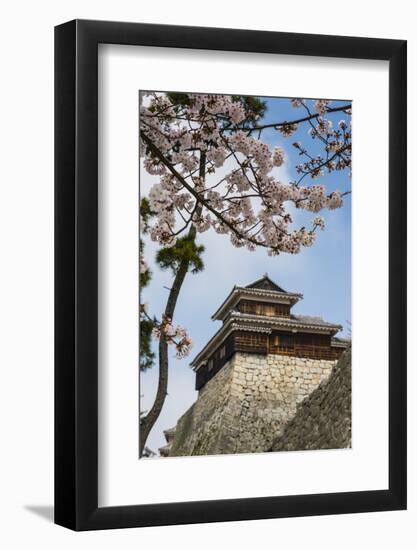 Cherry Blossom and the Matsuyama Castle, Shikoku, Japan, Asia-Michael Runkel-Framed Photographic Print