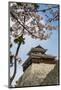 Cherry Blossom and the Matsuyama Castle, Shikoku, Japan, Asia-Michael Runkel-Mounted Photographic Print