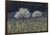 Cherry Blossom at the Foot of the Leitha Mountains Between Donnerskirchen and Purbach-Gerhard Wild-Framed Photographic Print