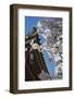 Cherry Blossom at Tocho-Ji Temple, Fukuoka, Kyushu, Japan-Ian Trower-Framed Photographic Print