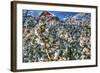 Cherry Blossom Barn-Robert Goldwitz-Framed Photographic Print