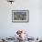 Cherry Blossom Barn-Robert Goldwitz-Framed Photographic Print displayed on a wall