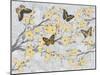 Cherry Blossom Bflies-Diane Stimson-Mounted Art Print