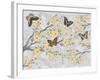 Cherry Blossom Bflies-Diane Stimson-Framed Art Print