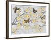 Cherry Blossom Bflies-Diane Stimson-Framed Art Print